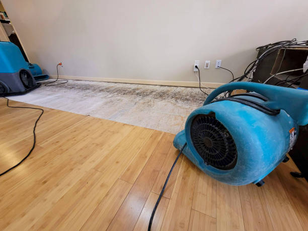 Professional Basement Flood Cleanup technician working in Rice, TX